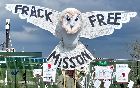 Frack Free Misson owl banner